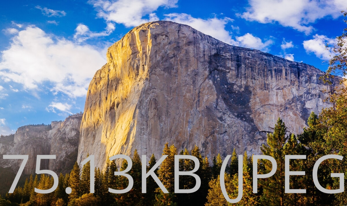 Compare image quality – 100%